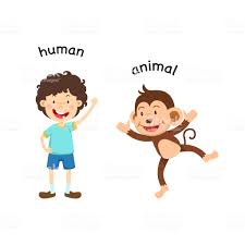 「clip art Humans and apes」の画像検索結果