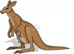 Free Images Of Kangaroos, Download Free Clip Art, Free Clip Art on ...